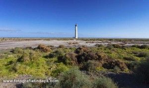 Saladar - GUÍA DE FUERTEVENTURA