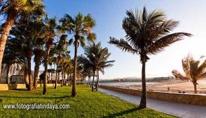 Playa de Caleta de Fuste - GUÍA DE FUERTEVENTURA