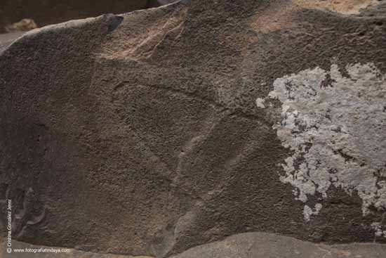 cod 010203067 017 barranco cavadero grabados libico canario libico bereber la oliva, Fuerteventura