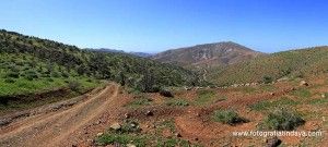 Castillo de Lara –  Pinar de  Betancuria - GUÍA DE FUERTEVENTURA