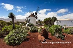 Molino de Antigua - GUÍA DE FUERTEVENTURA