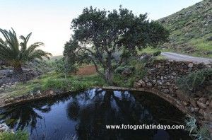 Fuente de Tacha Blanca - GUÍA DE FUERTEVENTURA