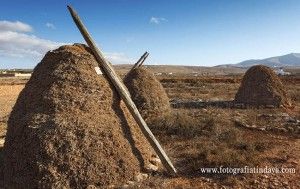 Pajeros en el campo de Fuerteventura - GUÍA DE FUERTEVENTURA