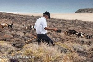 Guanil - GUÍA DE FUERTEVENTURA