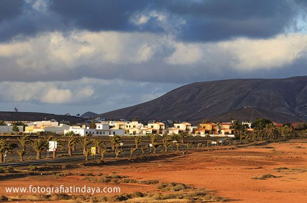 La Oliva