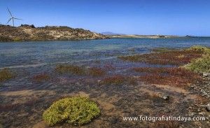 El Saladar de Corralejo - GUÍA DE FUERTEVENTURA