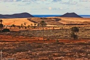 La Rosa de los Negrines - GUÍA DE FUERTEVENTURA