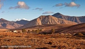 Pitón fonolítico - GUÍA DE FUERTEVENTURA