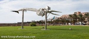 Historia de Morro Jable - GUÍA DE FUERTEVENTURA