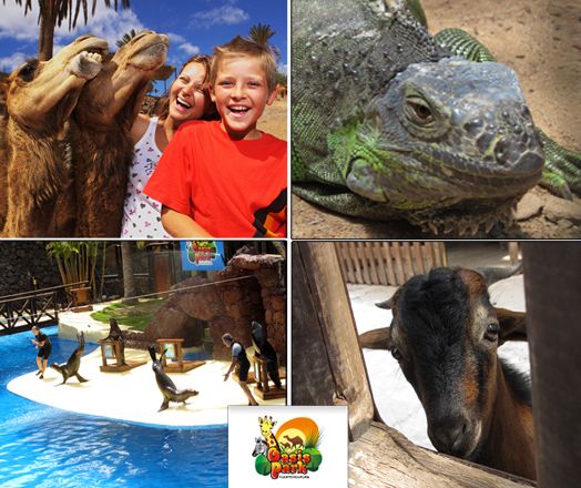 Oasis Park La Lajita
