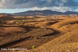Casas de Violante - GUÍA DE FUERTEVENTURA
