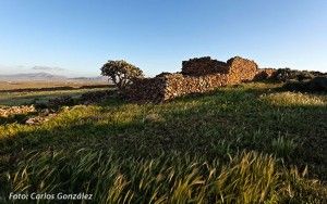 EL GRANERO DE CANARIAS - GUÍA DE FUERTEVENTURA