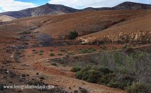 Los nateros en Fuerteventura - GUÍA DE FUERTEVENTURA