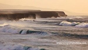 Maresía - GUÍA DE FUERTEVENTURA