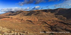 EL TIME - GUÍA DE FUERTEVENTURA