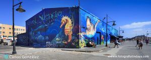 EL GRAFFITI – COFRADÍA DE PESCADORES DE CORRALEJO - GUÍA DE FUERTEVENTURA