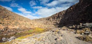 BARRANCO DE RÍO CABRAS - GUÍA DE FUERTEVENTURA