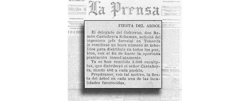 FIESTA DEL ÁRBOL EN FUERTEVENTURA