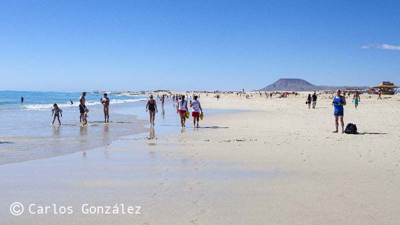 Explora Fuerteventura durante tu escala de crucero: Lugares imperdibles