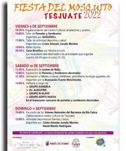 Fiestas del Tesjuate