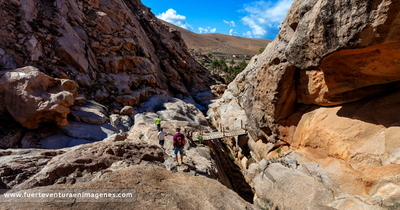 Explora Fuerteventura durante tu escala de crucero: Lugares imperdibles