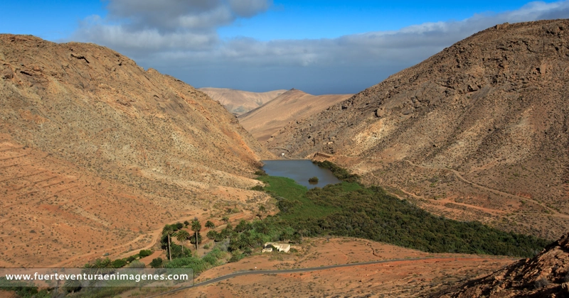 Presa en el Barranco de las Peñitas