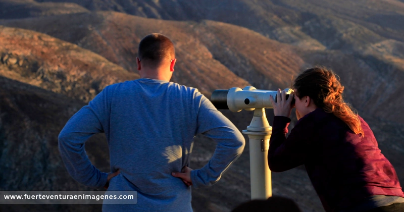 Observación de aves en Fuerteventura - GUÍA DE FUERTEVENTURA
