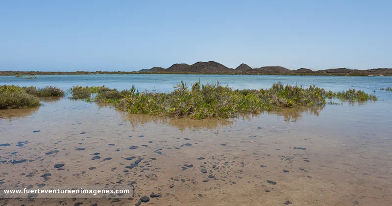 Las Mareas vivas en Fuerteventura: qué debes saber antes de salir de excursión