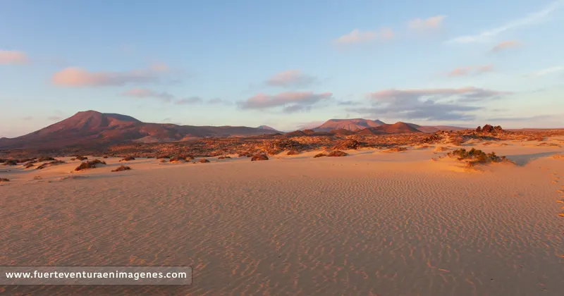 Excursión a Corralejo, La Oliva y Betancuria para cruceros
