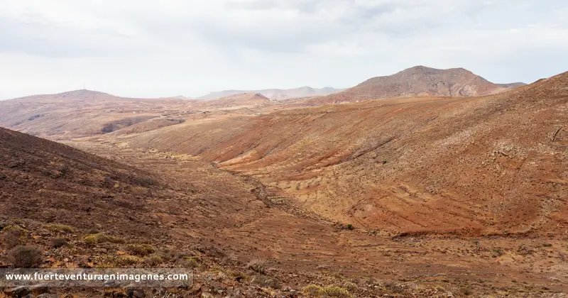 Depósito aluvial - GUÍA DE FUERTEVENTURA