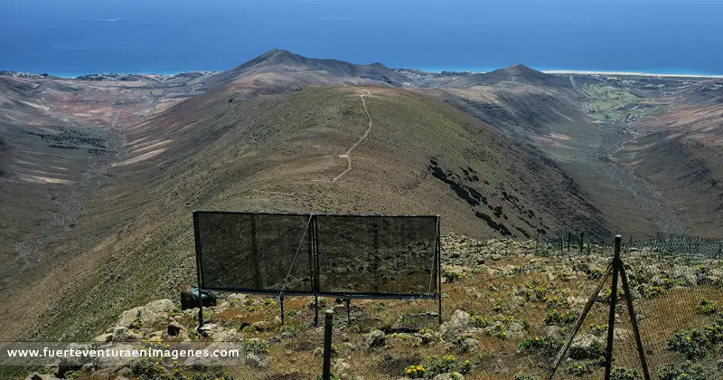 Pico de la Zarza