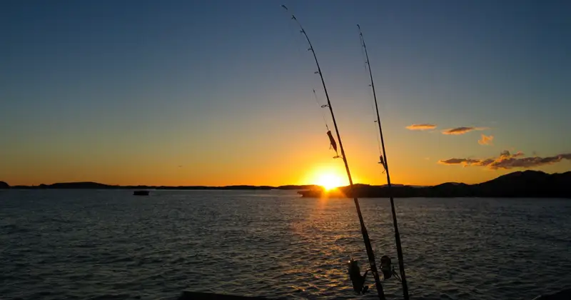Todo lo que debes saber sobre la pesca con caña en Fuerteventura
