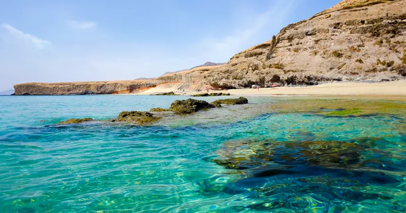 Ruta de 1 Hora en Jet Ski: Avistamiento de Delfines y Faro de Jandía
