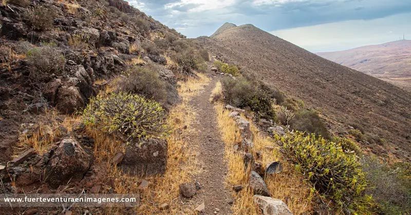 camino real - GUÍA DE FUERTEVENTURA