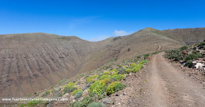 Ruta Senderista – Morro Jable – Pico de la Zarza