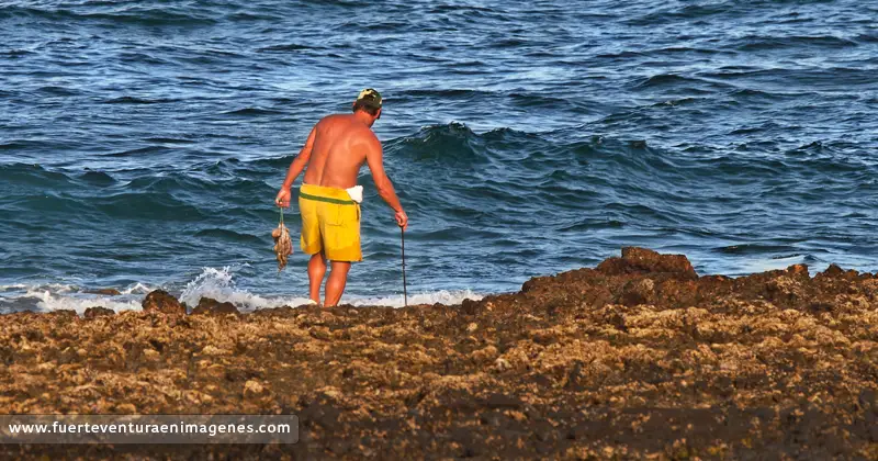 ¿Dónde mariscar en Fuerteventura? - GUÍA DE FUERTEVENTURA