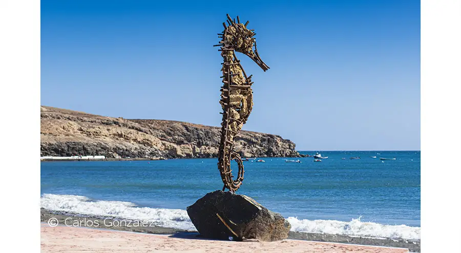 Un vistazo a la escultura Seahorse en Tarajalejo - GUÍA DE FUERTEVENTURA