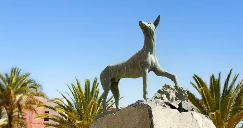 Escultura podenco canario, Puerto del Rosario - GUÍA DE FUERTEVENTURA