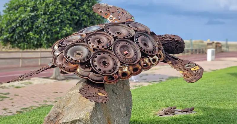 Esculturas de Diedel Klöver: Tortugas - GUÍA DE FUERTEVENTURA