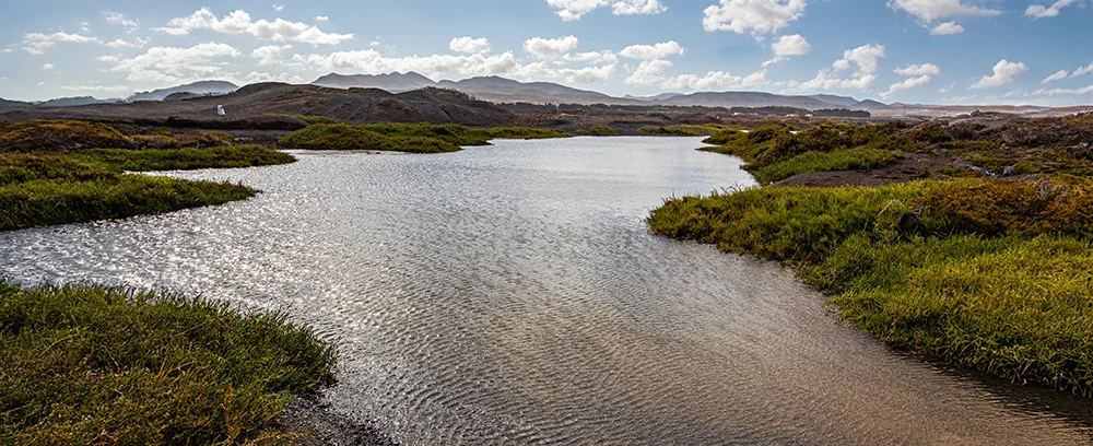 rasa marina - GUÍA DE FUERTEVENTURA