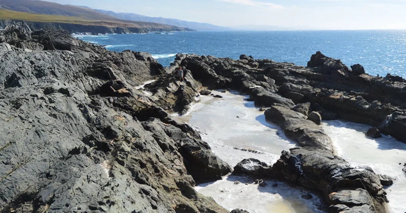 Charco intermareal - GUÍA DE FUERTEVENTURA