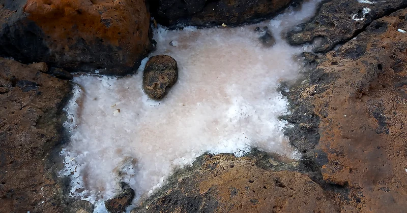 LA SAL Y LAS SALINAS NATURALES DE FUERTEVENTURA
