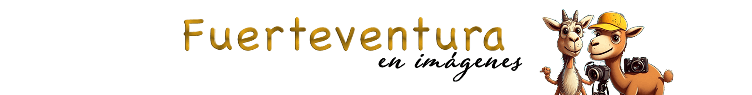 Fuerteventura Logo