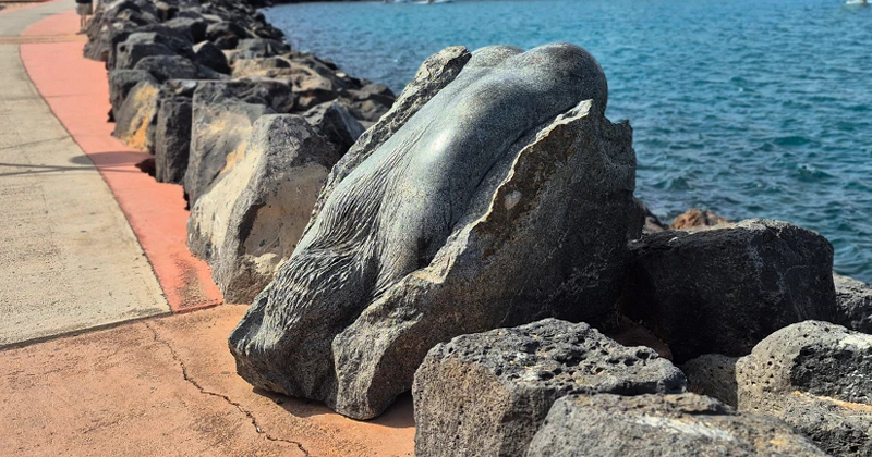 Fémina: el salto al mar que quedó atrapado en granito