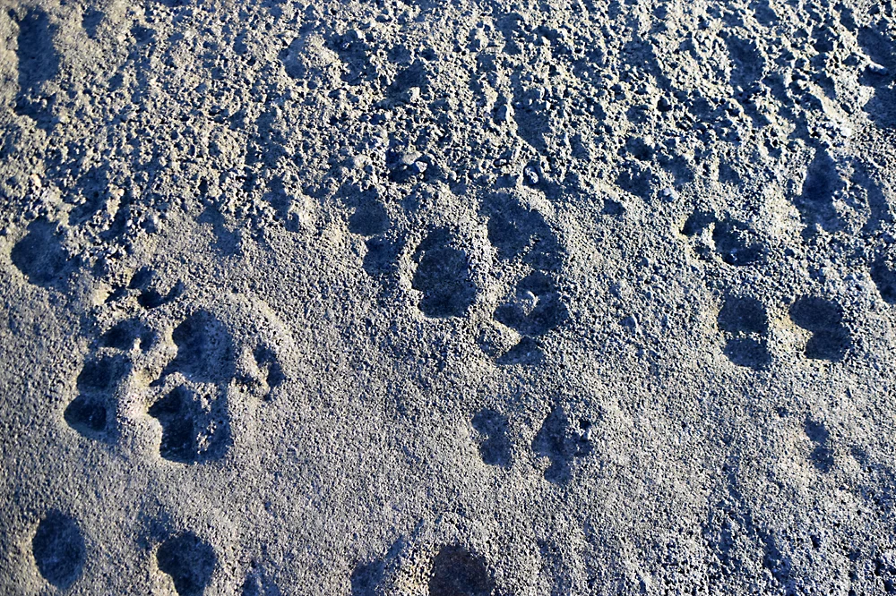 Huellas del pasado en la Playa del Matorral