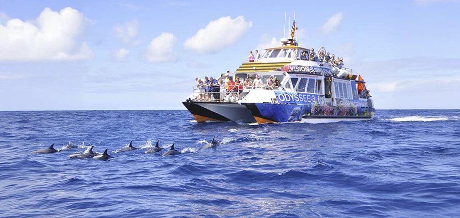 Paseo de Tarde en Barco: Fondo de Cristal, Adrenalina y Cena Temprana en Jandía