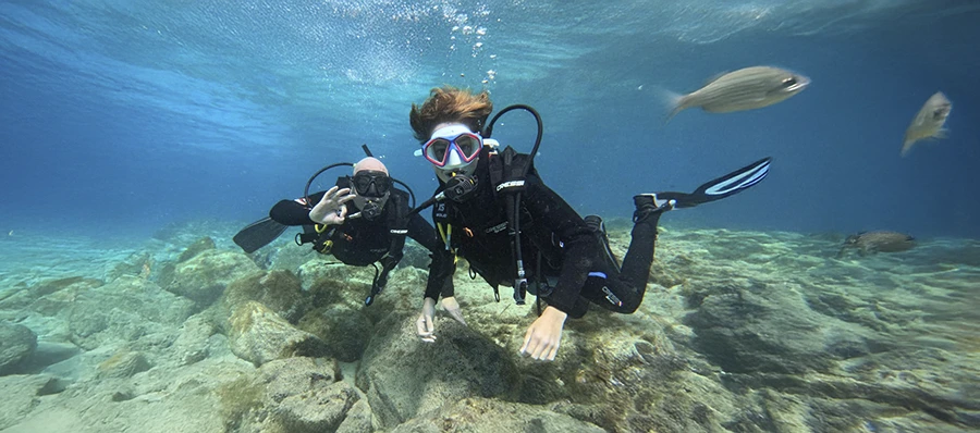 buceo
