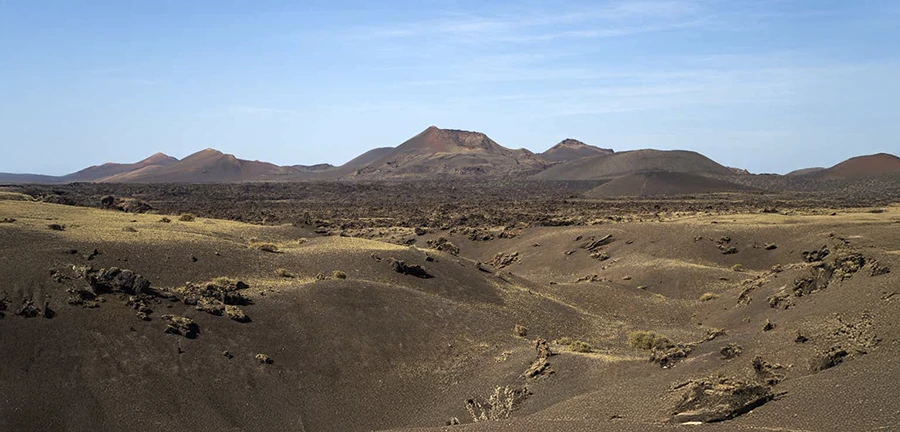 conejero - GUÍA DE FUERTEVENTURA