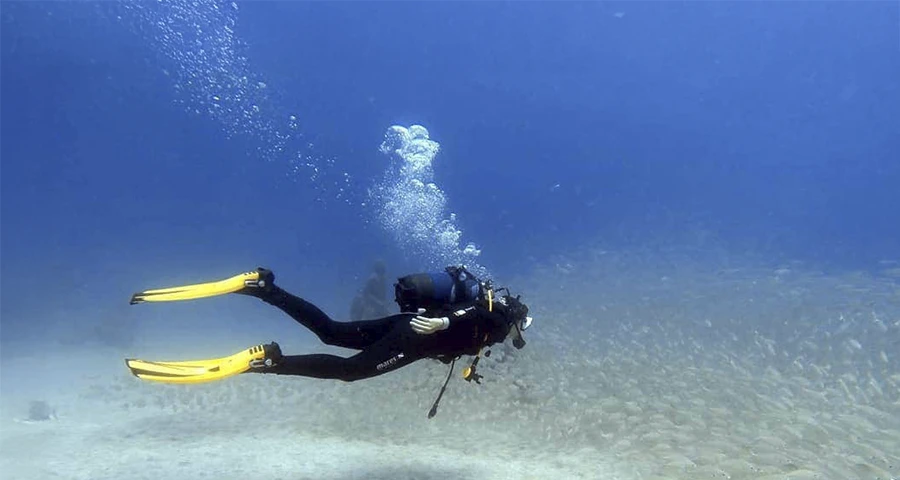 Curso PADI Open Water en Los Cristianos: Tu Pasaporte al Mundo Submarino