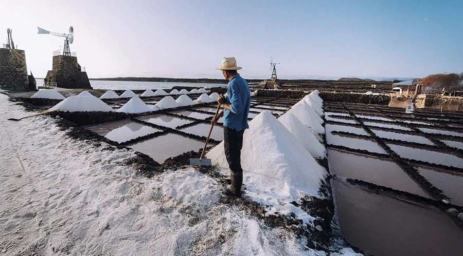 Descubre las Salinas de Janubio: historia y sabor del mar